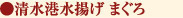 清水港水揚げ まぐろ