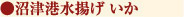沼津港水揚げ いか